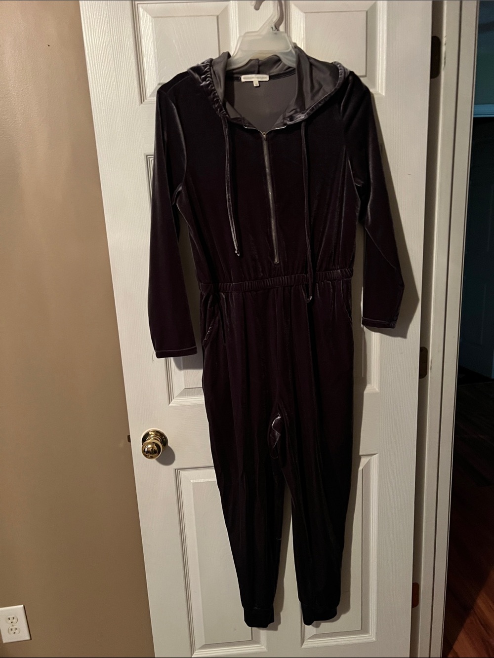 Plush Velvet Hooded Jumpsuit in Deep Plum